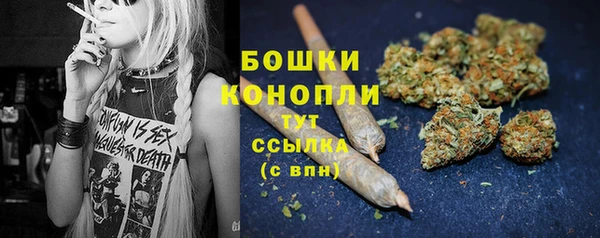 ГАЛЛЮЦИНОГЕННЫЕ ГРИБЫ Нягань