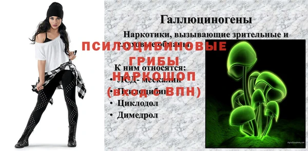 ГАЛЛЮЦИНОГЕННЫЕ ГРИБЫ Нягань