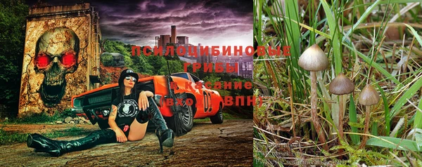 таблы Няндома